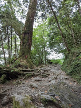  市场波动持续加剧；银行理财资金动作引发关注；业内人士强调防御为主。 股票财经 市场波动持续加剧；银行理财资金动作引发关注；业内人士强调防御为主。 股票财经