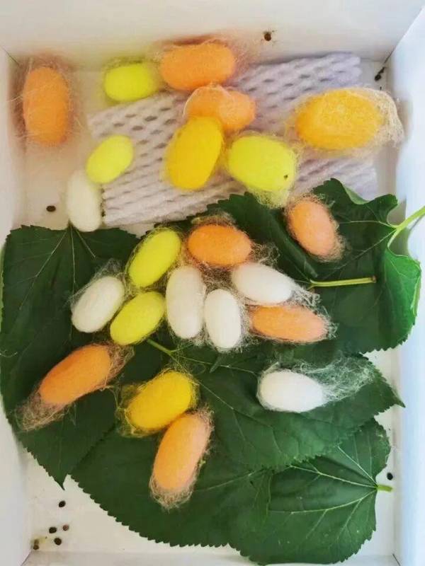 清明·节气到节日的千年演进:唐玄宗才是真正的推手 文化旅游