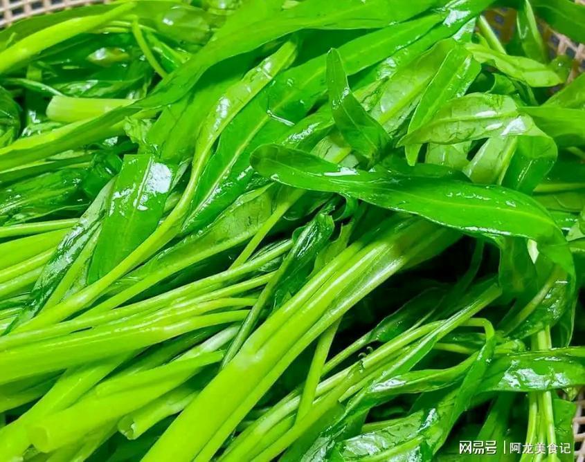  叶酸含量实测报告：通菜何以成为春季养生首选蔬菜 健康养生
