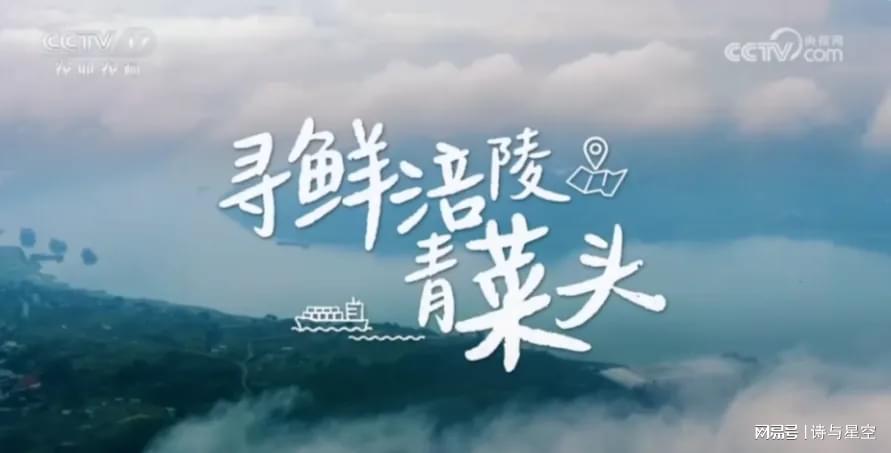  从五毛钱的下饭神器到资本市场的选择题：涪陵榨菜正在经历怎样的中年危机？ 股票财经