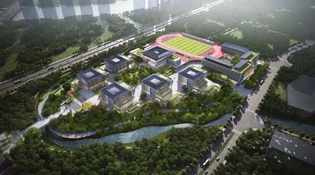  别让孩子输在起跑线：成都新高中来袭，焦虑的家长该何去何从 教育招生