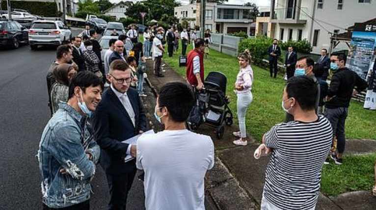  技术洞察：澳洲税务合规审查升级与AI就业冲击的深层逻辑 新闻