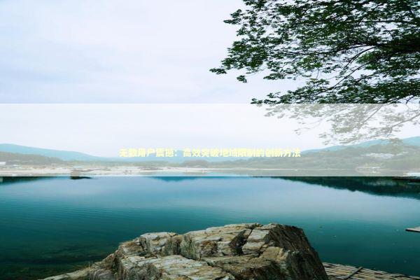 无数用户震撼：高效突破地域限制的创新方法 新闻