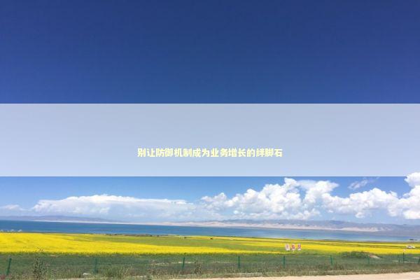 别让防御机制成为业务增长的绊脚石 IT技术