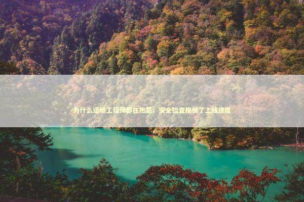 为什么运维工程师都在抱怨:安全检查拖慢了上线速度 为什么运维工程师都在抱怨:安全检查拖慢了上线速度 IT技术