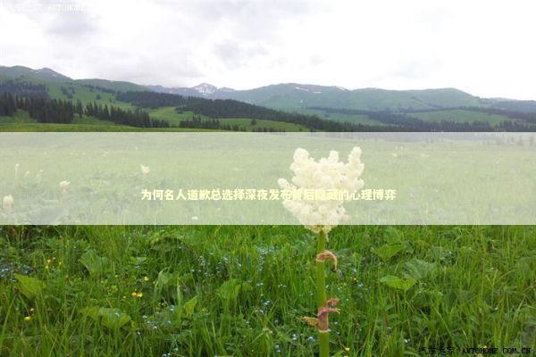 为何名人道歉总选择深夜发布背后隐藏的心理博弈 娱乐新闻