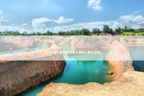 为什么说不用专业加密工具的人都在后悔 IT技术