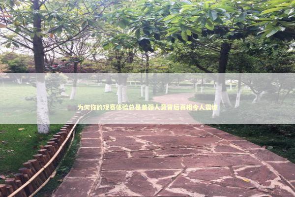 为何你的观赛体验总是差强人意背后真相令人震惊