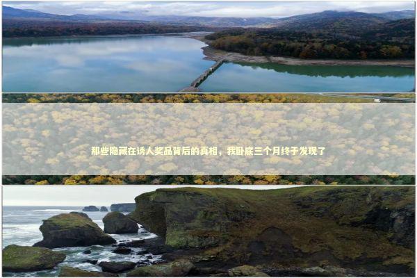 那些隐藏在诱人奖品背后的真相，我卧底三个月终于发现了 企业服务