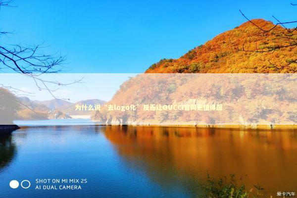 为什么说“去logo化”反而让GUCCI官网更值得逛