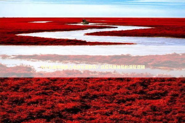 为什么越来越多人选择私密聊天？这股风潮背后的深层逻辑 IT技术