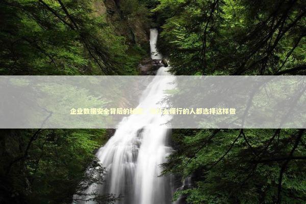 企业数据安全背后的秘密：为什么懂行的人都选择这样做 IT技术